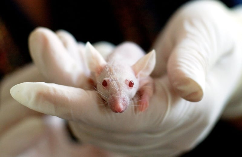 Astrobiological Research